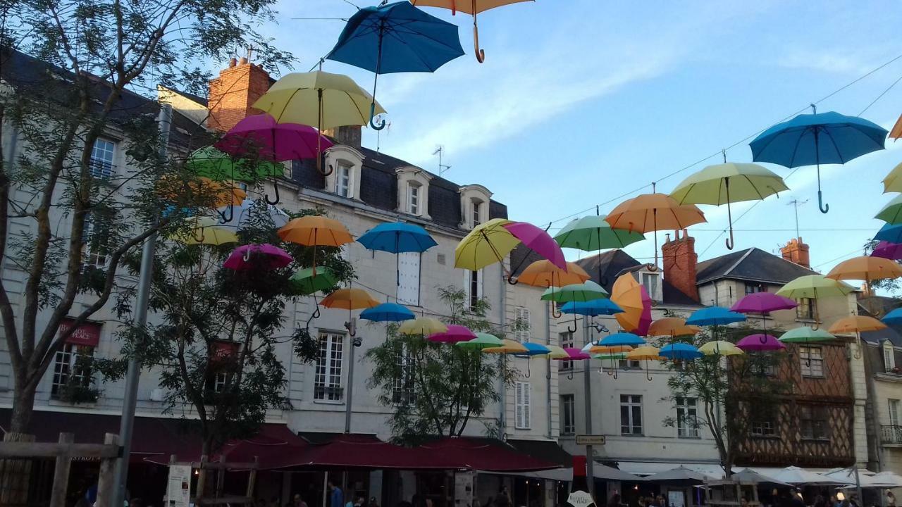 Saumur Loire Chambres Et Gite Vernantes Dış mekan fotoğraf