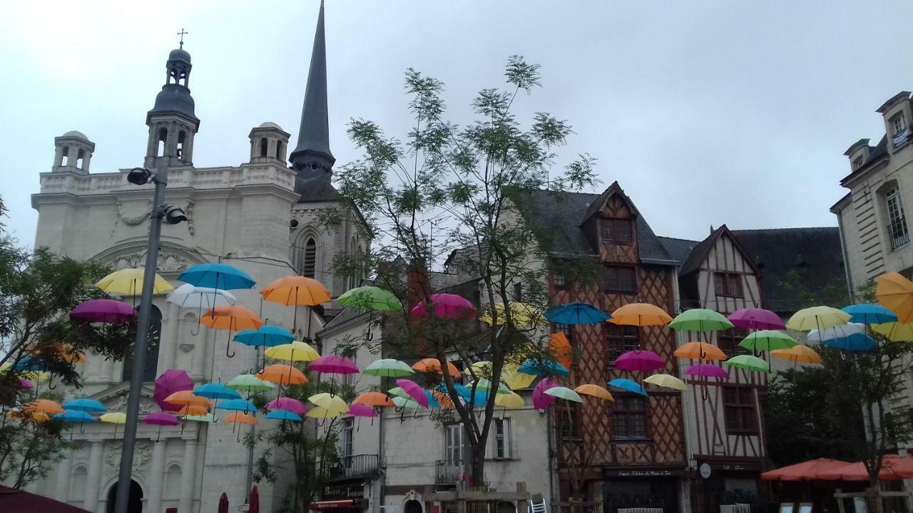 Saumur Loire Chambres Et Gite Vernantes Dış mekan fotoğraf
